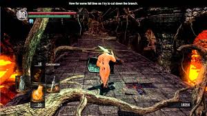 Dark Souls Ps3 Humanity & Chaos Servant - Youtube