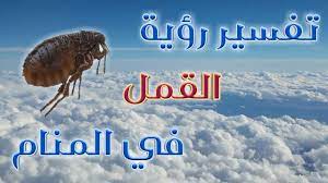 Check spelling or type a new query. Ø§Ù„Ù‚Ù…Ù„ ÙÙŠ Ø§Ù„Ù…Ù†Ø§Ù… Ù„Ø§Ø¨Ù† Ø³ÙŠØ±ÙŠÙ† ÙˆØ§Ø¨Ù† Ø´Ø§Ù‡ÙŠÙ† Ù…ÙˆÙ‚Ø¹ Ø²ÙŠØ§Ø¯Ø©