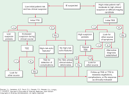 Infective Endocarditis Harrisons Principles Of Internal