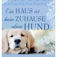 Bitte nur hunde ab 10 jahre H H Romantisches Geschirrtuch Ein Haus Ohne Hund Handtuch Kuchenschurzen Handtucher Kuchenaccessoires Aufbewahrung Wohnen Haushalt 1a Neuware