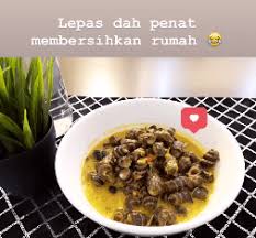 Tumis bahan blender, tempoyak dan serai hingga naik bau. Siput Sedut Berjaya Lolos Wanita Ini Kongsi Kisah 2018 Yang Melucukan Kisah Dunia