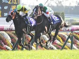 The socially distant social gathering meal. å®å¡šè¨˜å¿µäºˆæƒ³ ä»Šå¹´ã®ã‚µãƒžãƒ¼ã‚°ãƒ©ãƒ³ãƒ—ãƒªã‚¤ãƒã‚ªã‚·ã®æ³¨ç›®é¦¬ã¯è¤‡å‹çŽ‡100 ã®é˜ªç¥žã‚³ãƒ¼ã‚¹å·§è€… Jraãƒ¬ãƒ¼ã‚¹å±•æœ› ç«¶é¦¬ãƒ‹ãƒ¥ãƒ¼ã‚¹ Netkeiba Com