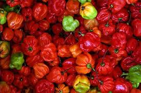 Piments Des Antilles Guadeloupe Piment Piment Antillais Guadeloupe