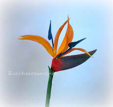 Gumpaste Bird Of Paradise Cake By Silvia Tartari Flores De Azucar Flores De Porcelana Fria Flores
