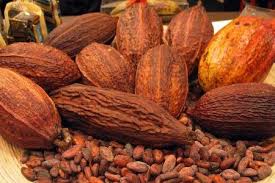 Berikut deretan kuliner khas banjarnegara yang bisa anda coba untuk menikmati sajian yang lezat. Ditjen Industri Agro