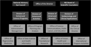 Assessment of azithromycin in combination with other antimalarial drugs against plasmodium falciparum in vitro. Https Www Nei Nih Gov Sites Default Files 2021 05 Nei 20strategic 20plan 202021 20draft 20for 20public 20comment Pdf