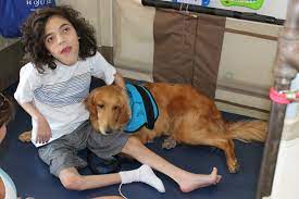 Putting The Bark In Caregiving Herald Community Newspapers Www Liherald Com