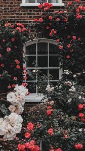 45 Beautiful Roses Wallpaper Backgrounds For Iphone Wallpaper Pastel Fotografi Seni Latar Belakang