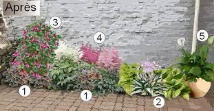 creer un massif de fleurs a l ombre parterre de fleurs amenagement jardin ombre massif fleurs