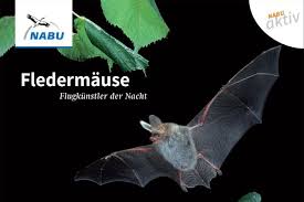 Hilfe Fur Fledermause Nabu Saugetiere Fledermaus Fledermauskasten