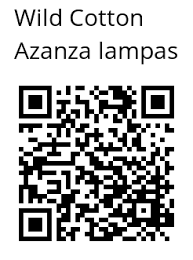 Image result for Azanza lampas