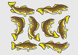 Download Walleye Fish Icons Eps Svg Vector Uidownload
