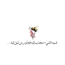 Pin On Bl 3arabi