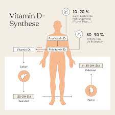 Vitamin D Mangel Anzeichen Erkennen Mangel Beheben Liebscher Bracht