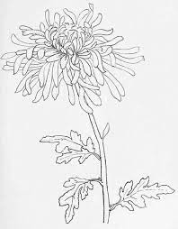 Gorilla and orangutan, desert coyote drawing, black wolf red eyes, human figure black walking, yellow and black tropical fish, orangutan face flaps. How Students Should Sketch Flower Line Drawings Flower Drawing Line Art Drawings