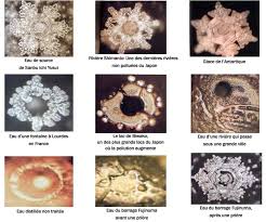 L'eau japonaise, aussi appelée eau merveilleuse, est une popote utilisée par les antiquaires depuis des générations. L Eau Dans Toute Sa Splendeur La Memoire Le Message De L Eau L Information De L Eau Le Haricot Vivant