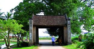 Káº¿t quáº£ hÃ¬nh áº£nh cho hinh anh luy tre lang