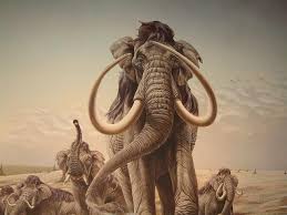 Everyday outerwear that nods to the mountains, this line combines. Riesiges Mammut Wie Man Dieses Kind Zeichnet Und Unterrichtet