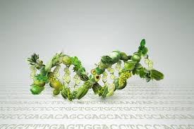 DNA Insights for Personalized Nutrition at Genomelink