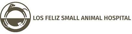 Cat & small animal boarding. Pet Boarding Los Feliz Small Animal Hospital Los Angeles Pet Boarding