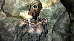 Fun fact: The draugr's appearance is randomly generated, leaving some with  the body of a woman but face of a man. : r/skyrim
