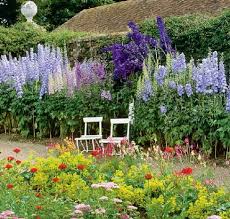 Pin By John C On Garden Of Ideas Delphinium Flowers English Garden Garden Ideas Uk