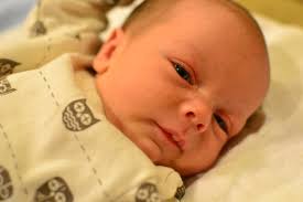 the many adventures of owen, mason, and jack!: September 2011