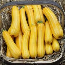 You only need five minutes of cooking time, and it's time it's up to you as to how you cut the zucchini. Your Squashes Best Friends Official Blog Of Park Seed