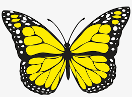 Learn about the story of butterfly tats and symbolism. Spiritual Meaning Of Yellow Butterflies Yellow Butterfly 1000x700 Png Download Pngkit