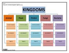 20 Best Life Science 6 Kingdoms Images Life Science