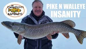 Best Northern Pike And Walleye Ice Fishing Ever Fish Walleye Ice Fishing
