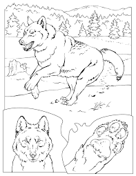 Wolves coloring pages for kids to print and color. 25 Wolf Coloring Pages Ideas Coloring Pages Wolf Colors Wolf