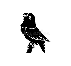 Masteran lovebird ngekek konslet fighter home facebook. Beauty Lovebird Stock Illustrations 558 Beauty Lovebird Stock Illustrations Vectors Clipart Dreamstime