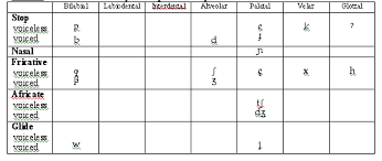 bilingual phonemic inventory reserch paper