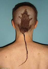 Are These The Worst Haircut Fails Ever Haircut Funny Bad Haircut Haircut Fails