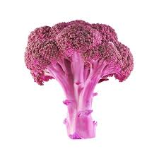 Check spelling or type a new query. Mcdonald S Invented Bubblegum Flavored Broccoli