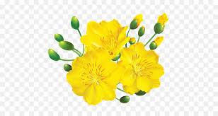 Therefore, if you were born in january or february in one of the above years, you might be a rat, or possibly a pig. Chinese New Year Flower Background Png Download 600 479 Free Transparent Drawing Png Download Cleanpng Kisspng
