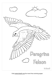 Author last name, first name(s). Peregrine Falcon Coloring Pages Free Birds Coloring Pages Kidadl