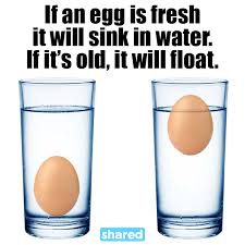 Pin By Jamie Addis On Clean Floating Eggs Eggs Salt And Water