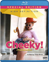 Amazon.com: Cheeky! [Blu-ray] : Yuliya Mayarchu, Jarno Beradi, Francesca  Nunzi, Max Parodi, Tinto Brass: 電影和電視