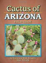 Free for commercial use no attribution required high quality images. Cactus Of Arizona Field Guide Cacti Identification Guides Bowers Nora And Rick Tekiela Stan 9781591930686 Amazon Com Books