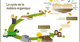Organic Vallee L Economie Circulaire De La Matiere Organique Up Le Mag Matiere Organique Economie Circulaire Circulaire