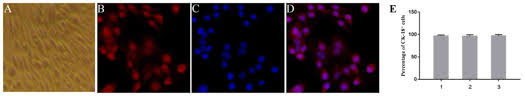 We manage more than a dozen properties in seattle, with the majority of. Interferon T Regulates The Expression And Function Of Bovine Leukocyte Antigen By Downregulating Bta Mir 204