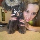 Amansa Tio! Un postre SIN HORNO que se ganará los elogios de toda la  familia #receta #postrehelado