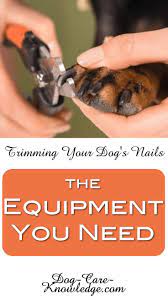 Pin On Dog Grooming