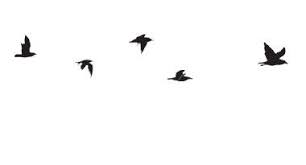Small Birds Flying Away Tattoo Worddoll S Blog Flying Bird Silhouette Birds Flying Bird Silhouette