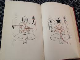 Forbidden Glimpses of Seiko Higa - Japan's AV Idol Sensation