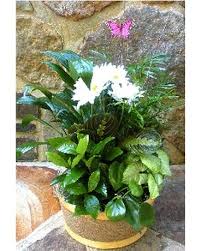 Maybe you would like to learn more about one of these? Lincoln University Florist Find A Florist In A City Near You