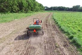 See more ideas about food plot, deer hunting, food plots for deer. Creating A Food Plot Great Plains Ag U S