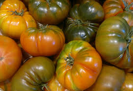 We did not find results for: Liste Der Tomatensorten R Wikipedia